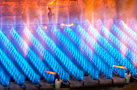 Burntheath gas fired boilers